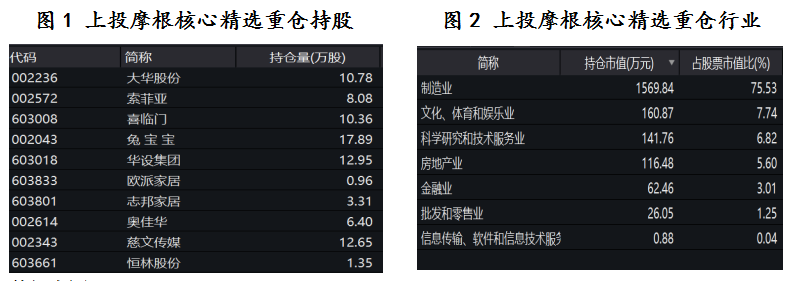 上頭摩根核心精選重倉持股/行業(yè)